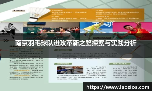南京羽毛球队进攻革新之路探索与实践分析